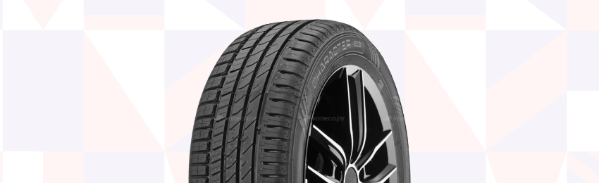 Шины Ikon Character Eco