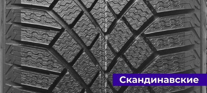 Скандинавские зимние шины