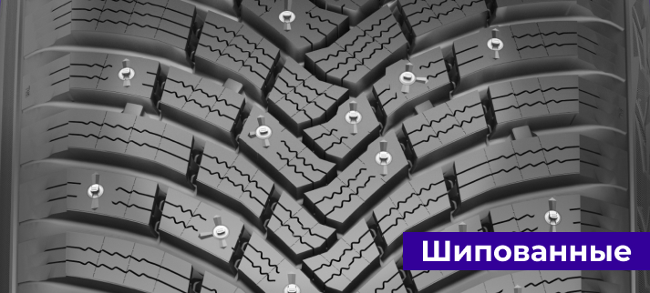 Шипованные зимние шины