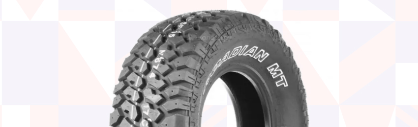 Шины Nexen Roadian MT