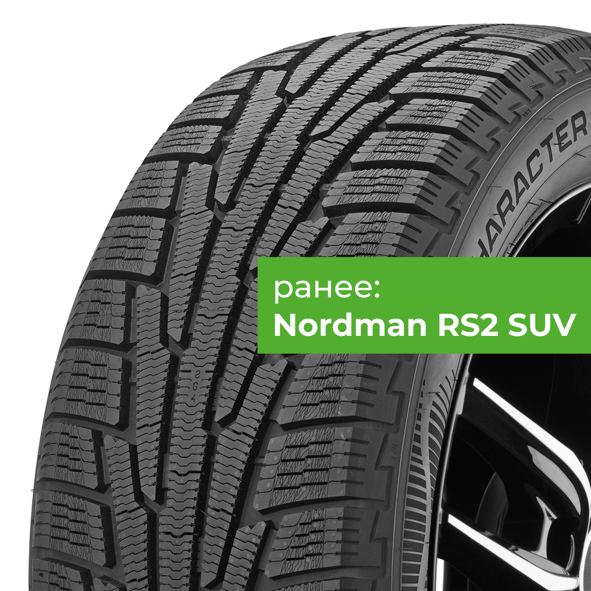 Ikon (Nokian Tyres) Character Snow 2 SUV 215/65 R16 102R XL