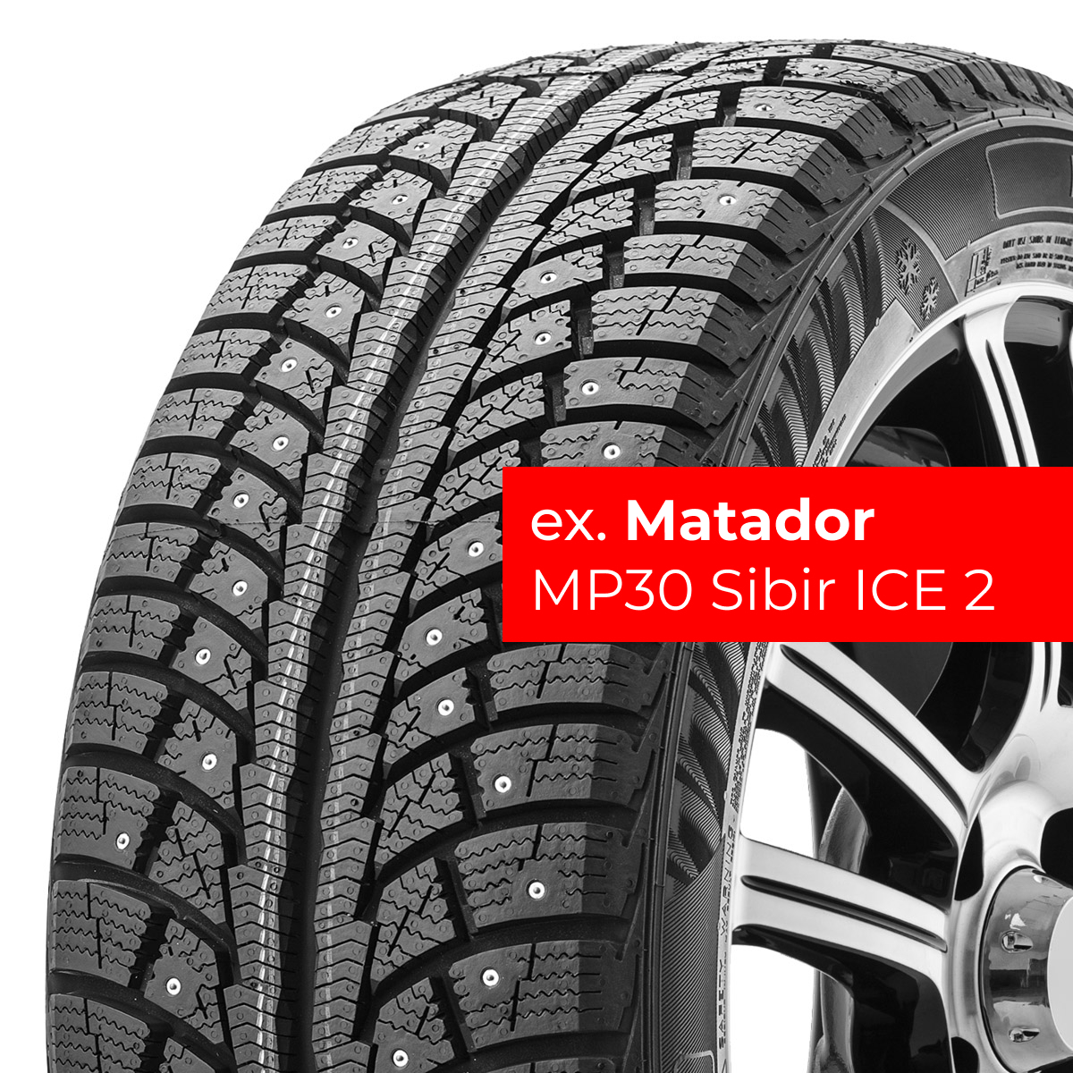 Torero MP 30 175/65 R14 86T XL