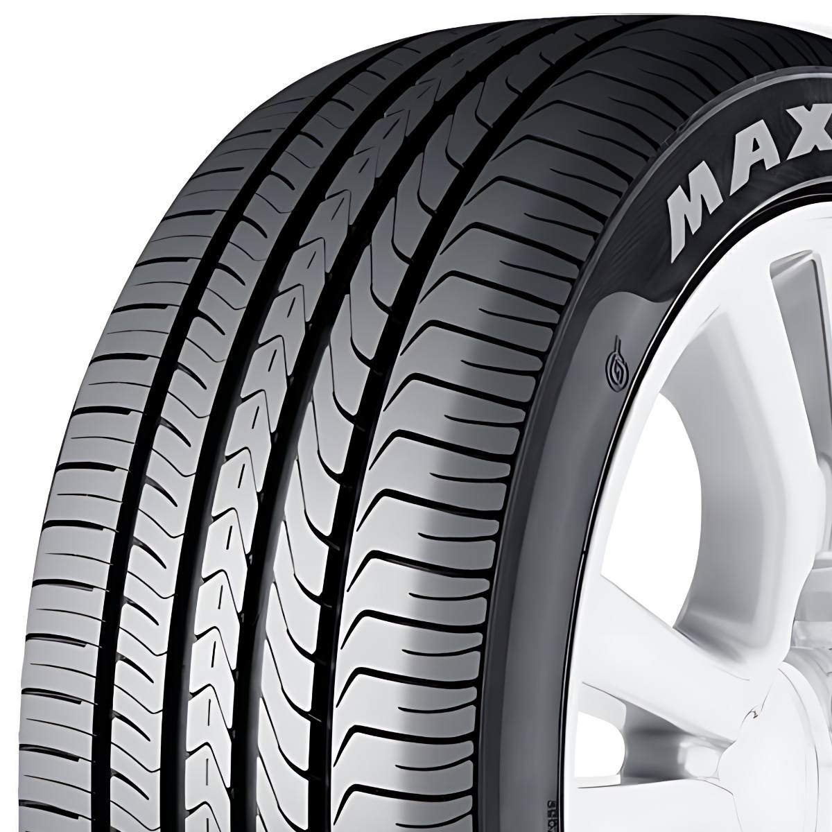 Maxxis Victra M36+