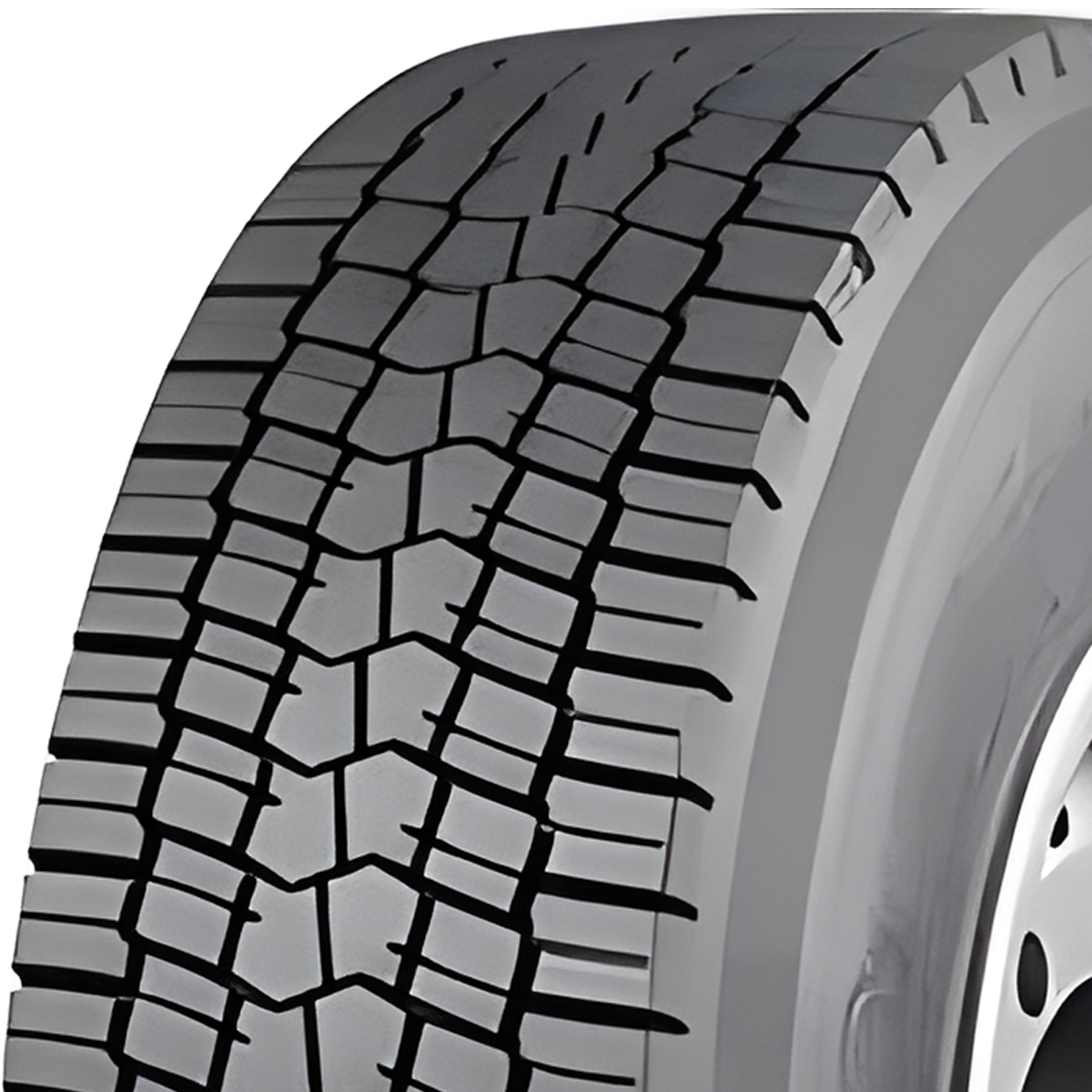 TyRex DR-1 TYREX ALL STEEL