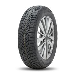 Roadstone Winguard SnowG WH2 175/65R14 86T XL