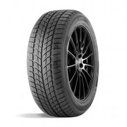 Doublestar Winterking DW09 275/45R20 110H