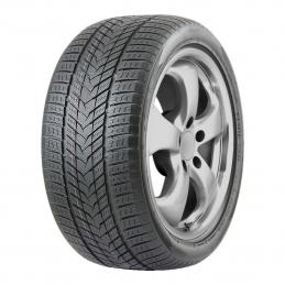 Roadmarch WINTERXPRO 999 245/55 R19 107H XL