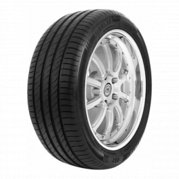 Delinte DS2 SUV 215/65R17 99V