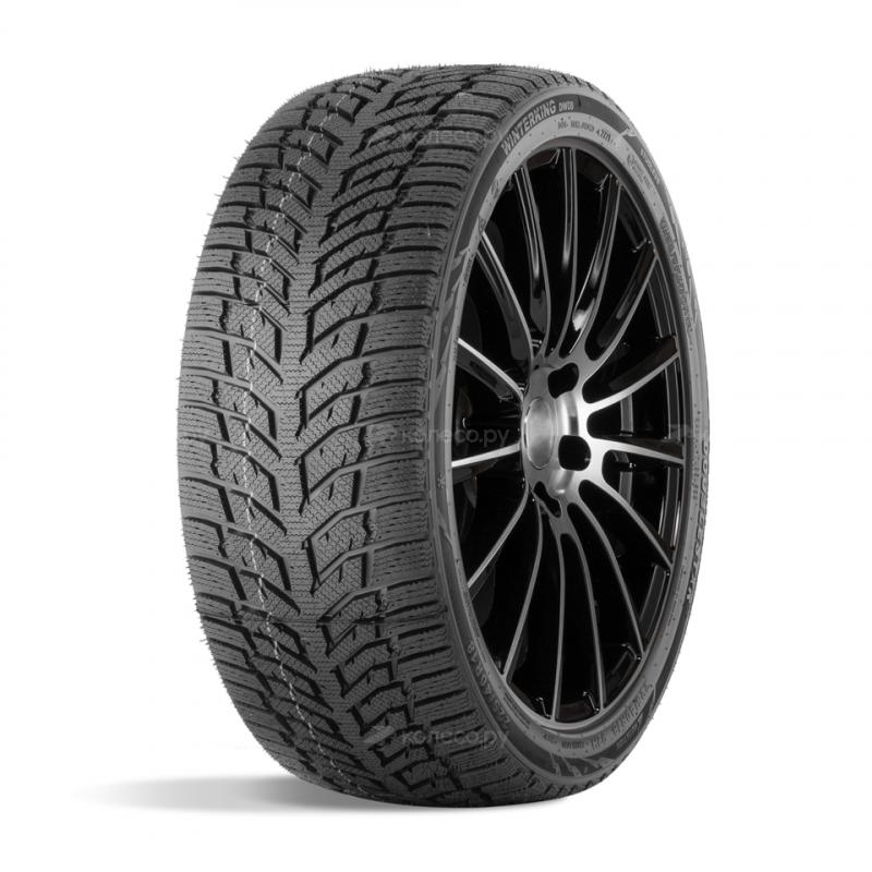 DOUBLESTAR WINTERKING DW08 215/65 R16 102H от 5620 руб купить недорого в Калининграде